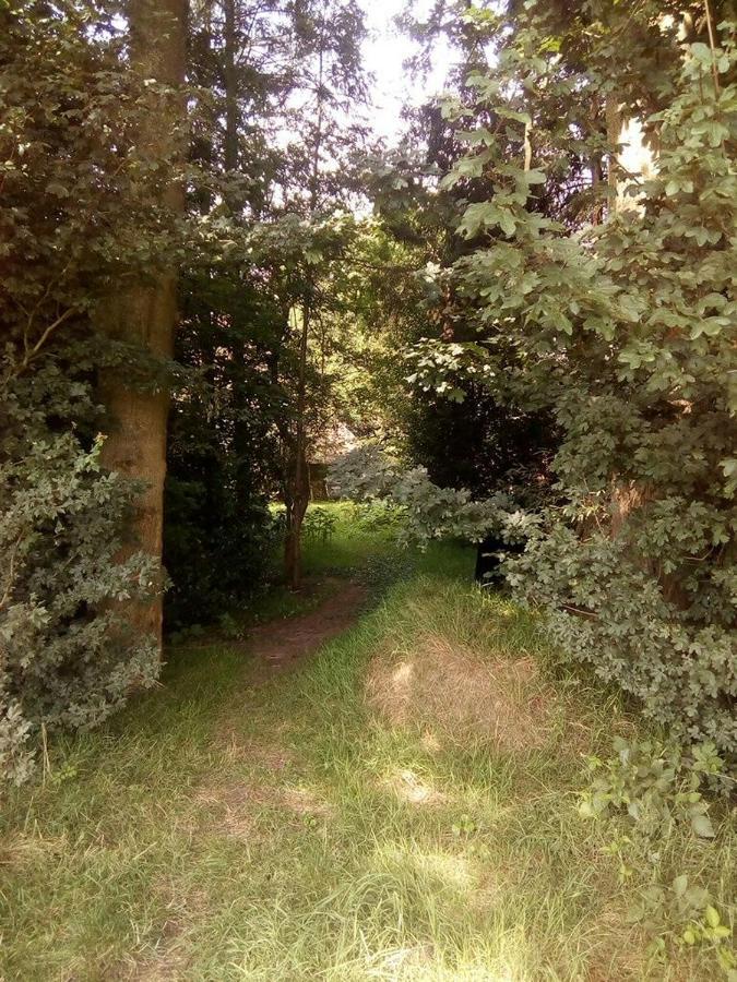 De Hoeve Mare Terre Giethoorn, Voor 1 Tot 6 Personen 外观 照片